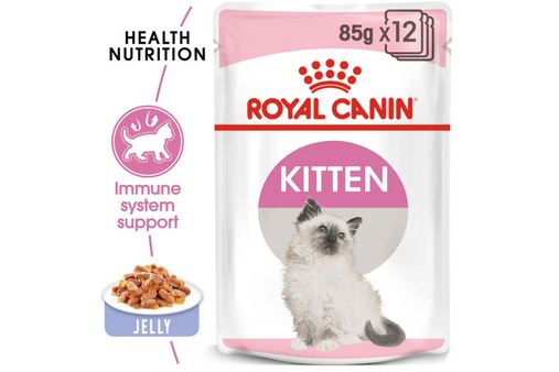 Royal canin wet kitten food