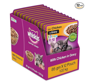 wet cat food for kittens