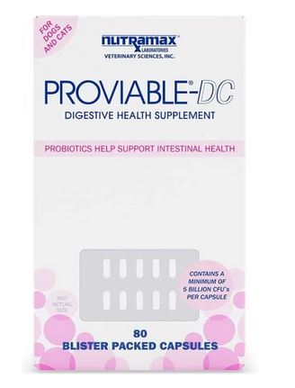 Probiotics for kittens