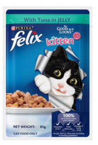 wet kitten food