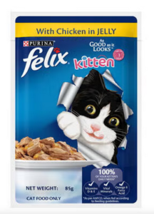 Kitten wet food
