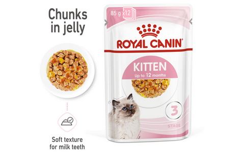 Royal Canin wet kitten food