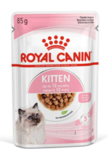 Wet cat food for kitten