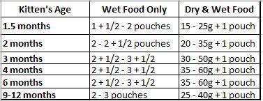 wet kitten food